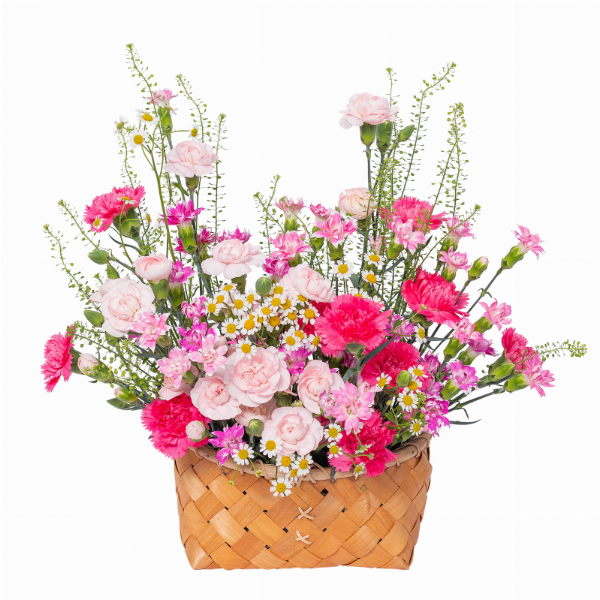 Minh họa quy trình đặt in thiệp chúc mừng khai trương trực tuyến tại Thiệp Xinh Online, từ tư vấn đến giao hàng